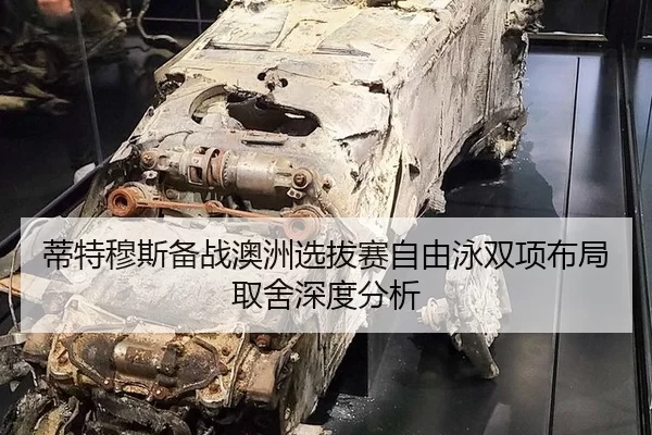 蒂特穆斯备战澳洲选拔赛自由泳双项布局取舍深度分析
